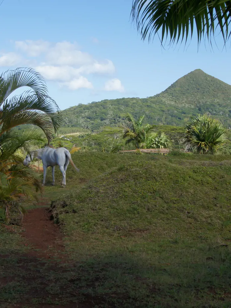 Familienferien auf Mauritius mit Stopover in Dubai